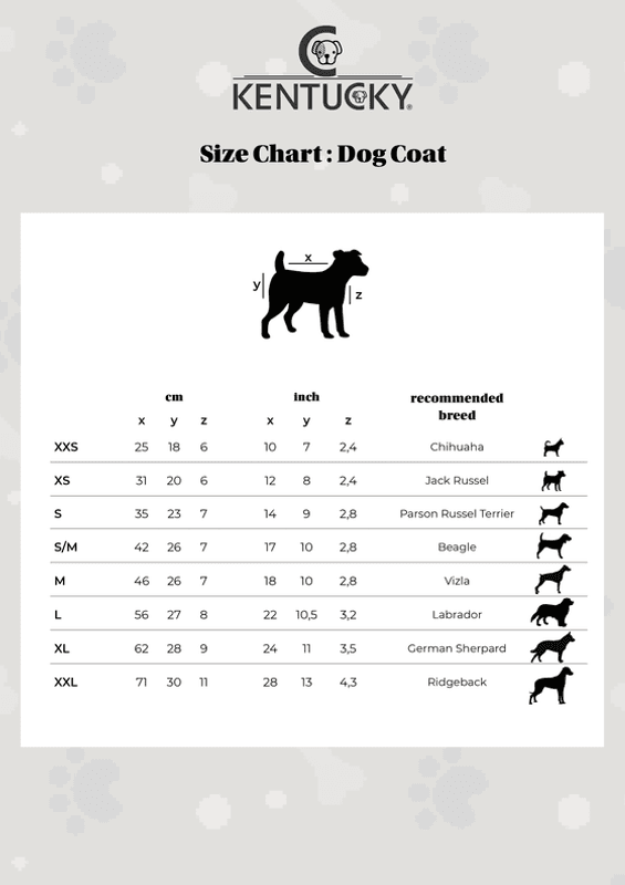 Kentucky Dog Rug Reflective Water Repellent