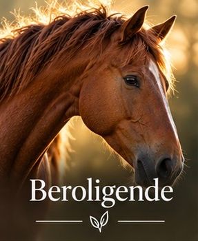 Hovedbilde Beroligende