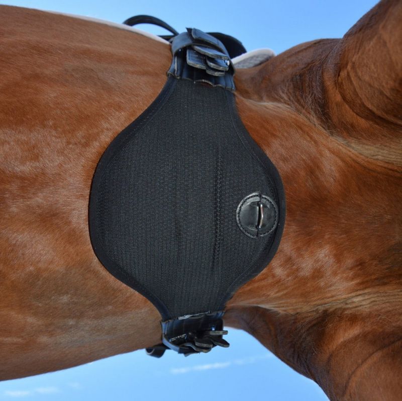Eric Le Tixerant Dressage Girth