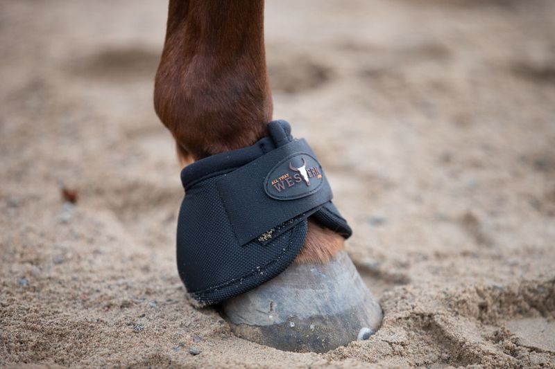 All That Bell Boot