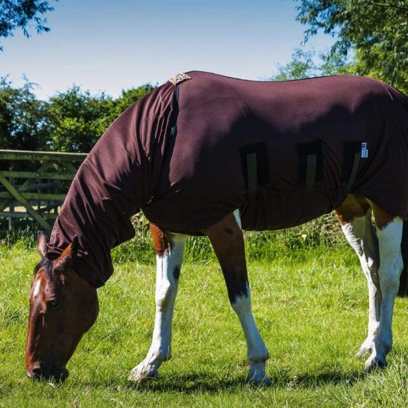 Snuggy Hoods Headless Anti-Itch Hood