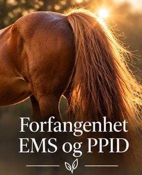 Hovedbilde Forfangenhet, EMS og PPID