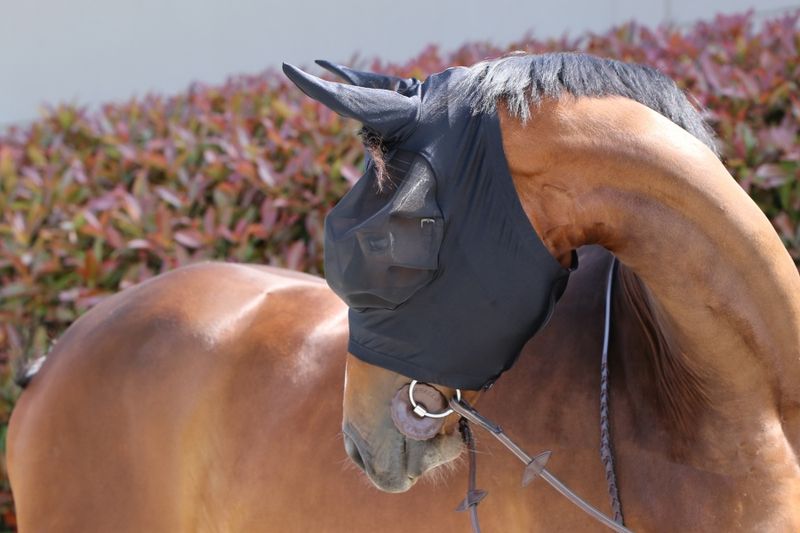 Kentucky Fly Mask Slim fit
