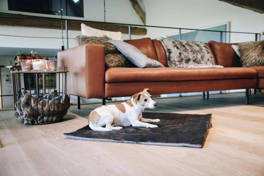 Kentucky Dog Bed Travel In Style Equine Norway