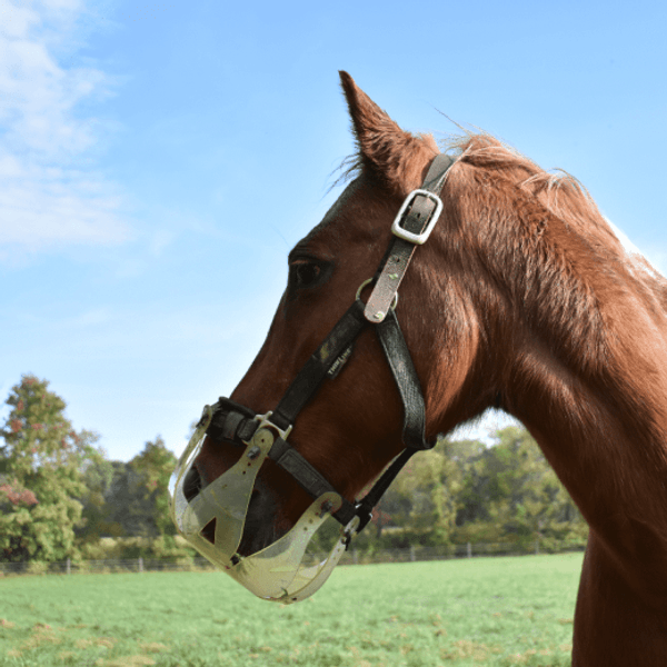 ThinLine Flexible Grass Mask