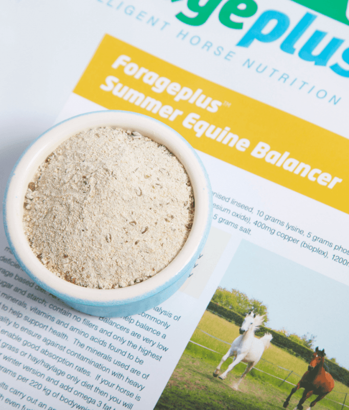 Forageplus Summer Equine Balancer