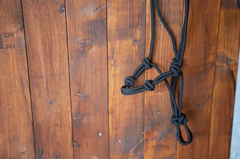 All That Training Rope Halter