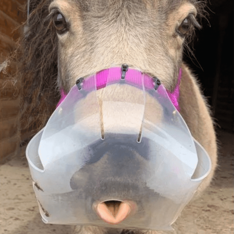 ThinLine Flexible Grass Mask