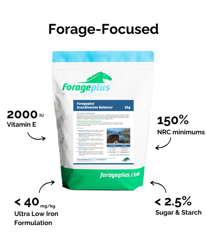 Forageplus Scandinavian Balancer
