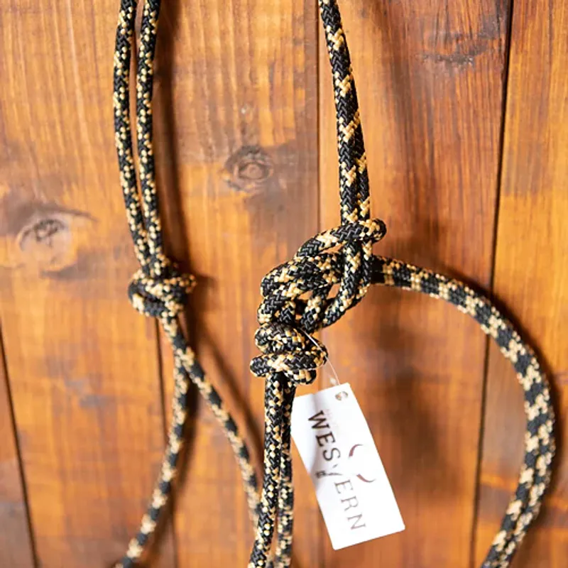 All That Stiff Rope Halter