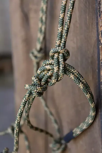 All That Stiff Rope Halter