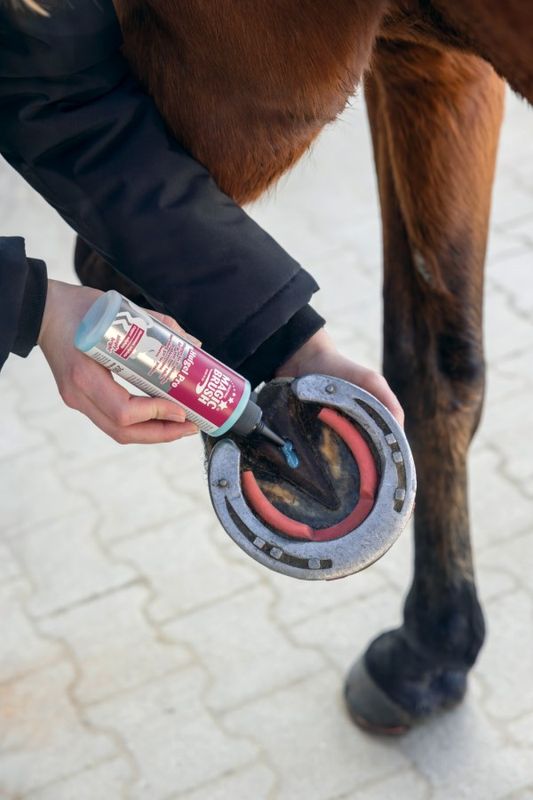 MagicBrush Hoof Gel Pro