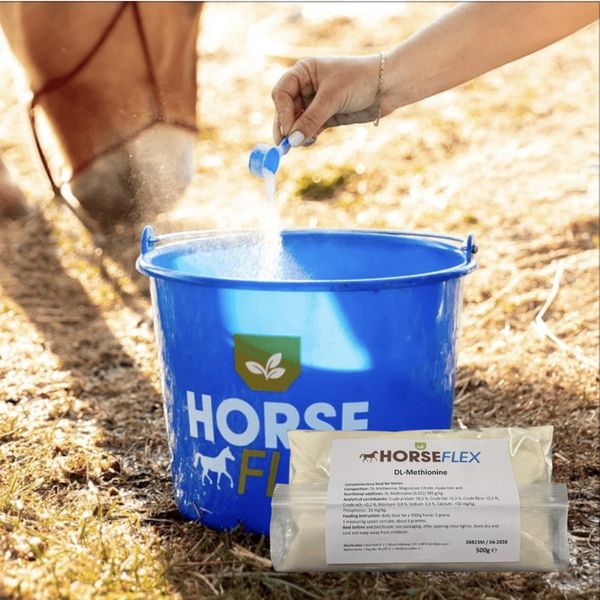 HorseFlex Metionin