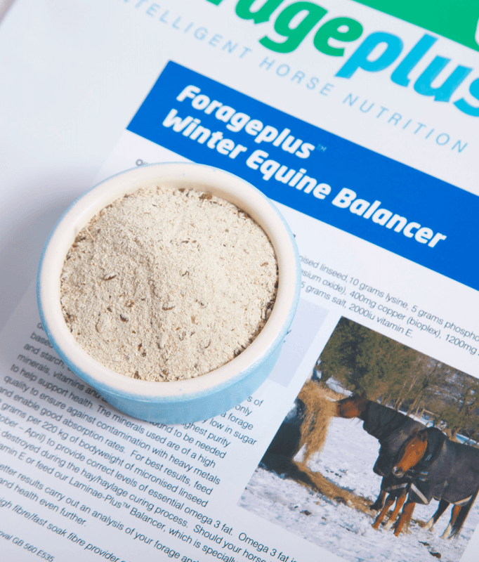 Forageplus Winter Equine Balancer