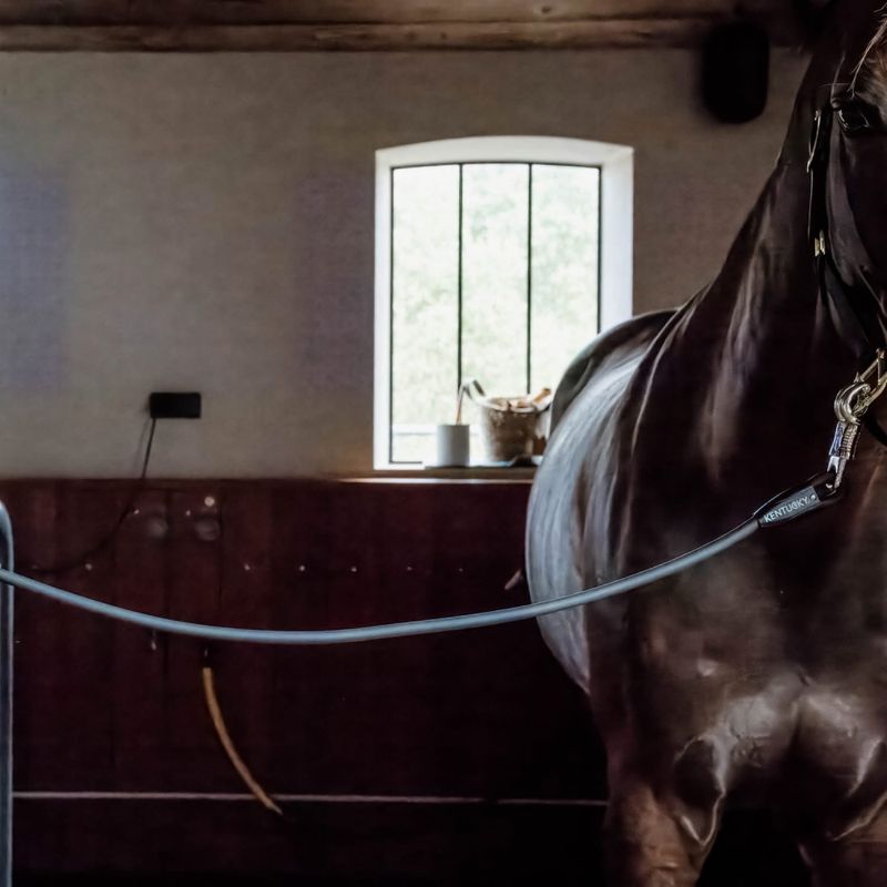 Kentucky Horse Box Lead & Cross Ties Silicone