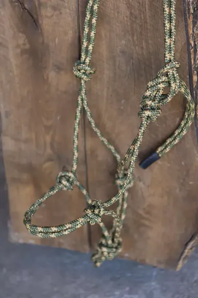 All That Stiff Rope Halter