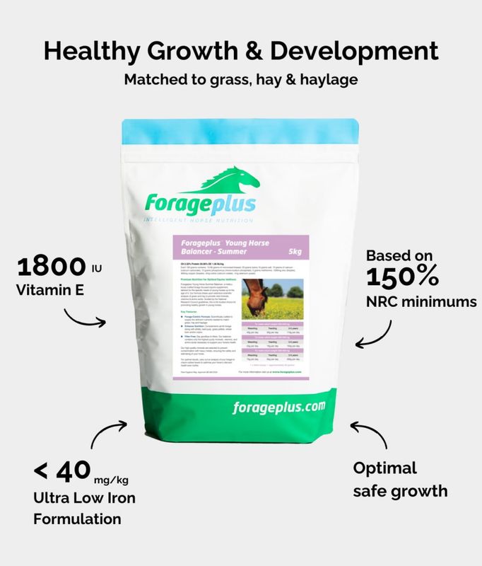 Forageplus Young Horse Balancer – Summer